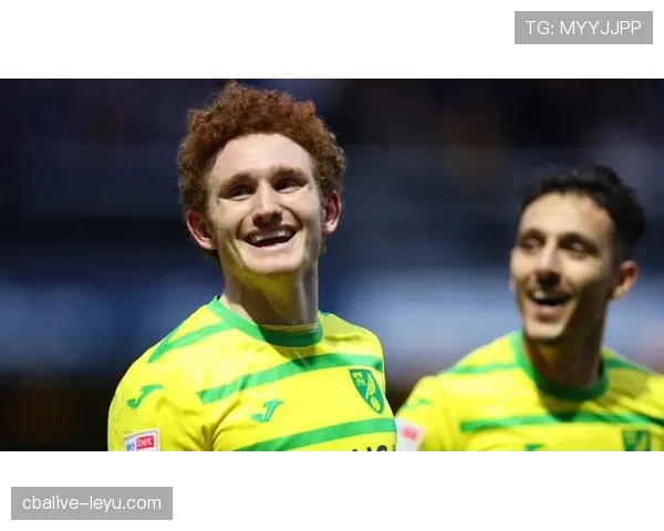 诺维奇冲超梦碎,状态回升蓄力下赛季重返英超