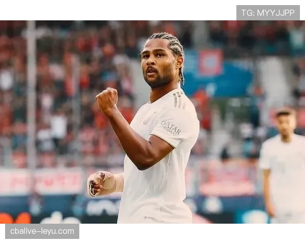 格纳布里速度分析