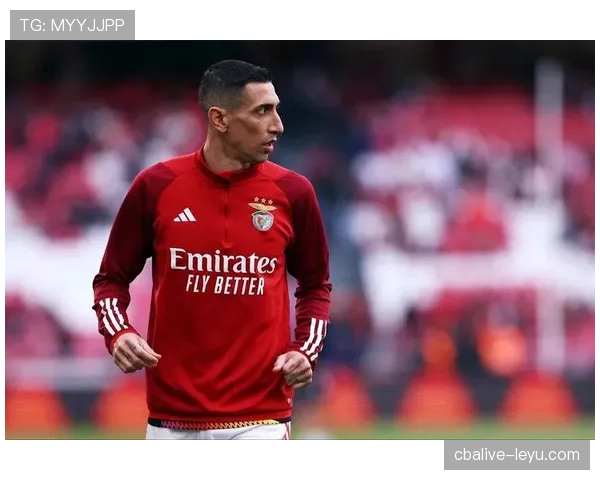 迪马利亚重返本菲卡：生涯后期回归解析